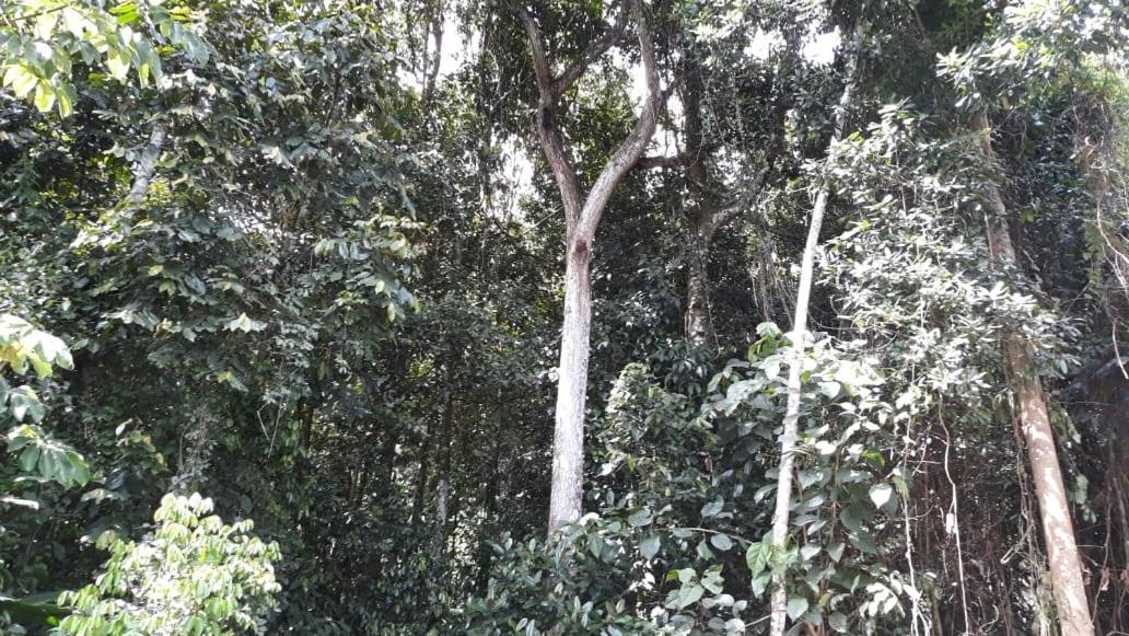 Albergue De Montana Talari San Isidro De El General Ngoại thất bức ảnh